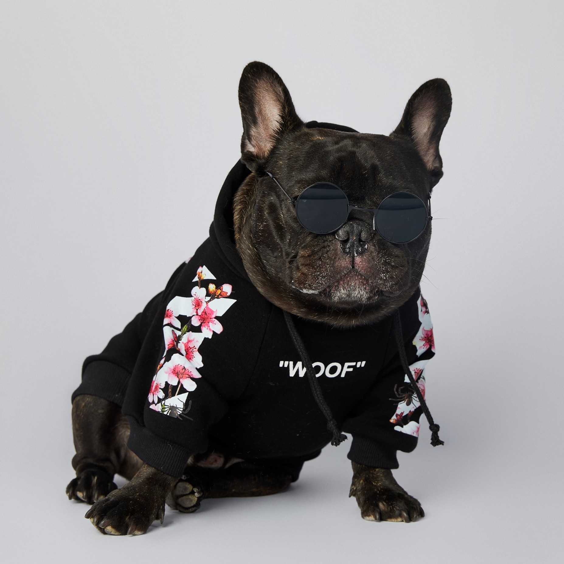 Fashion Brand Spring Autumn New Designer Dog Clothes Luxury Pet Clothes Black Hoodie Sweatershirt for French Bulldog