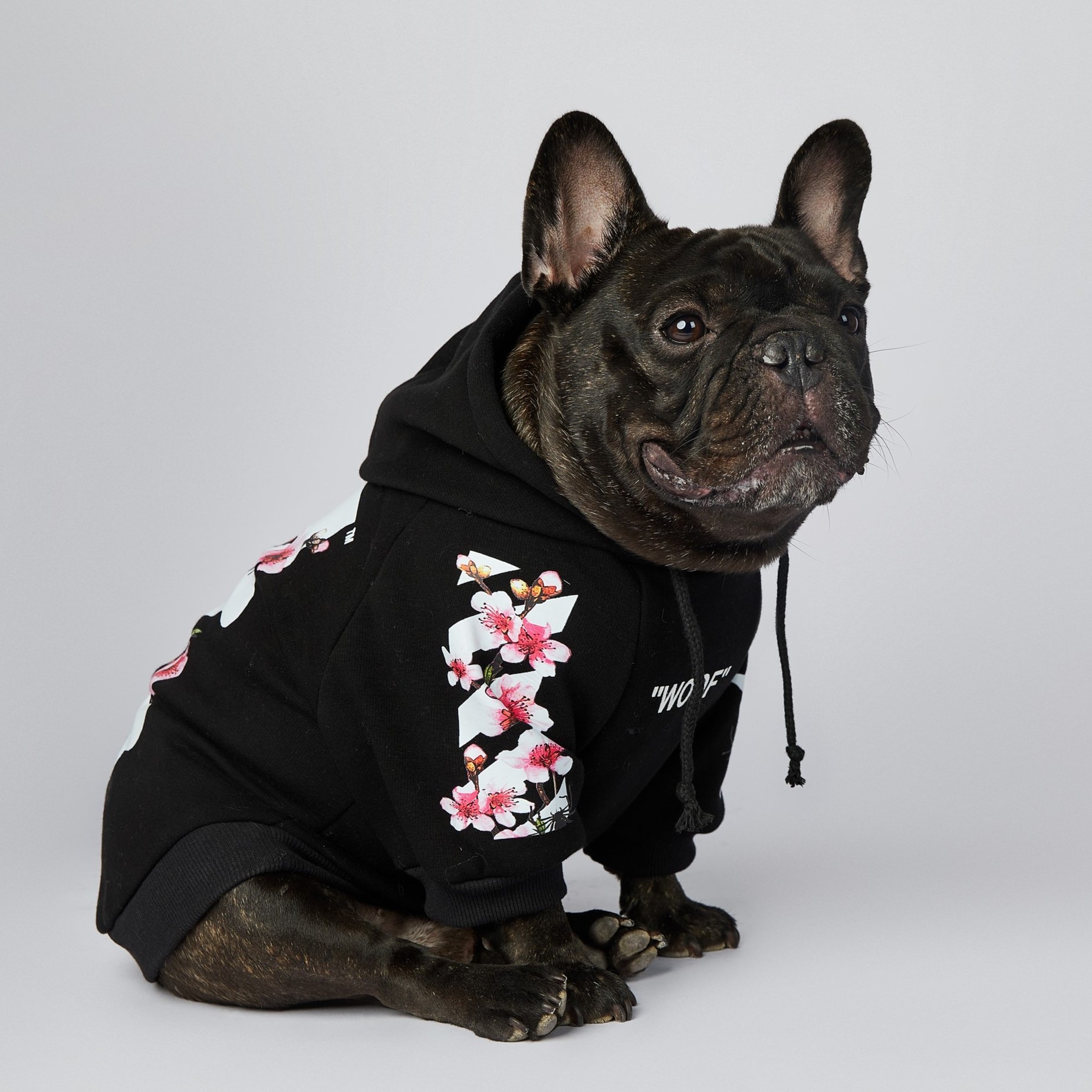 Fashion Brand Spring Autumn New Designer Dog Clothes Luxury Pet Clothes Black Hoodie Sweatershirt for French Bulldog