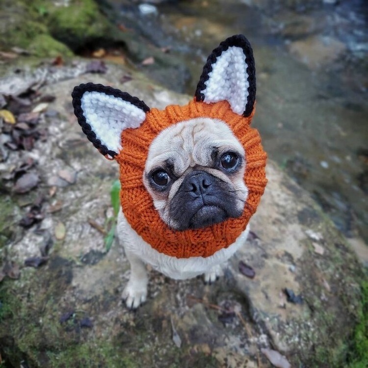 Wholesale Warm Cute Knitted Hat For Dogs French Bulldog Hat Cat Dog Halloween Accessories