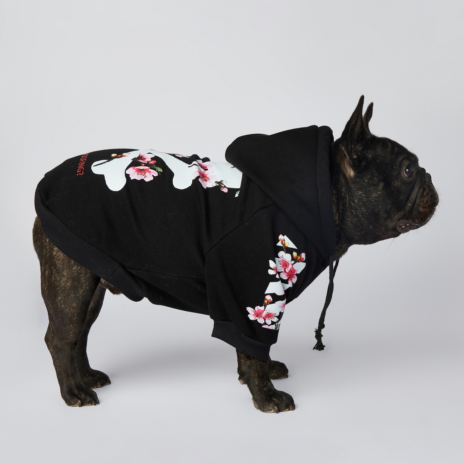 Fashion Brand Spring Autumn New Designer Dog Clothes Luxury Pet Clothes Black Hoodie Sweatershirt for French Bulldog