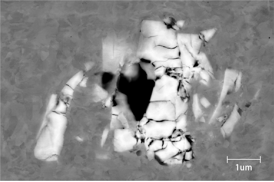 BSEM-500 Field Emission Scanning Electron Microscope