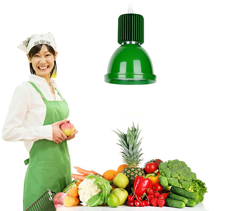 Supermarket Shopping Mall Hanging Fresh Lamp for Meat Fruit Vegetable Food Blue Red Green 20W 30W 40W Low Bay LED Fresh Light