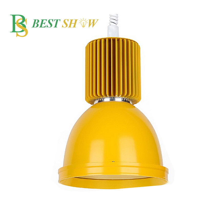 Supermarket Shopping Mall Hanging Fresh Lamp for Meat Fruit Vegetable Food Blue Red Green 20W 30W 40W Low Bay LED Fresh Light