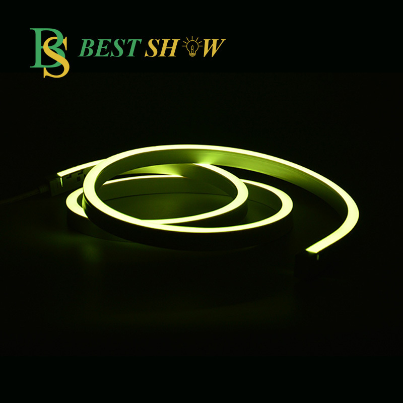 China factory ETL CE Certificate PVC Tubo IP68 led rope light 220V 12V 24V Waterproof RGB silicone LED Neon Flex