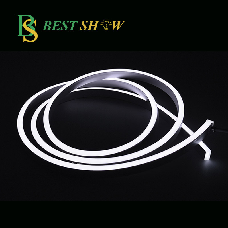 Foshan ETL CE Certificate PVC IP65 rope strip light for ceiling 230v 220v 110v 12V 24V Waterproof silicone LED Neon light