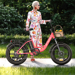 Engweebike L20 250W New Model Cycle Pedal Assist Ebike Tire Woman 20in Electric Bike Lithium Battery LCD Display 48V 7 Speed