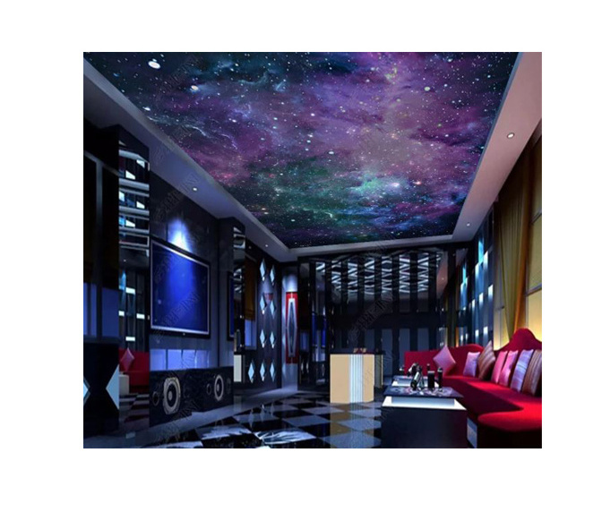 Custom 3D Printing Dream Starry Moon Living Room Zenith Ceiling Mural