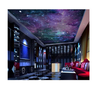 Custom 3D Printing Dream Starry Moon Living Room Zenith Ceiling Mural