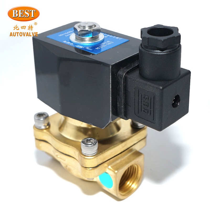 Good Price solenoid valves hydraulic Z101 2/2 Way Diaphragm control coil air water 24v 12v dc 220v 110v ac Brass solenoid valve