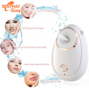 Hot Travel Professional Personal Face Nano Spray Mist Beauty Instrument Humidifier Home Use Ionic Smart Facial Steamer