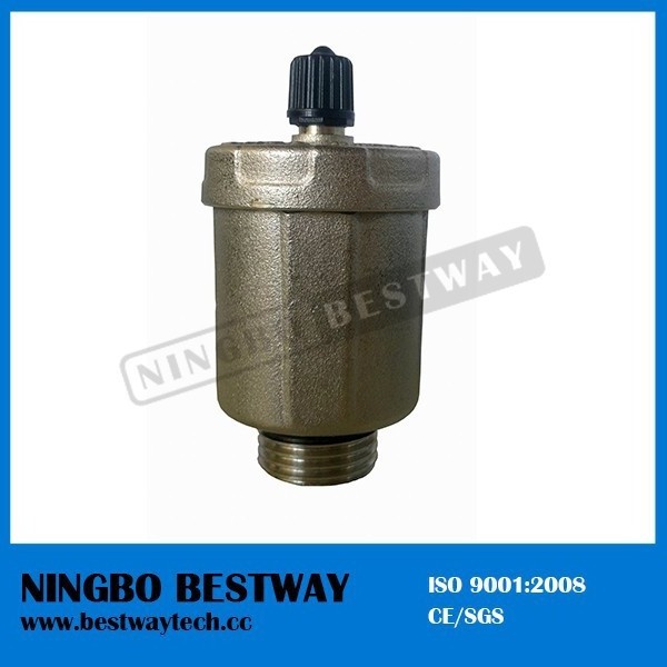 Automatic Air Vent Valve