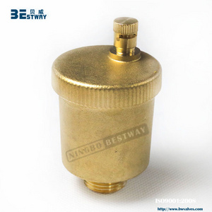 Automatic Air Vent Valve