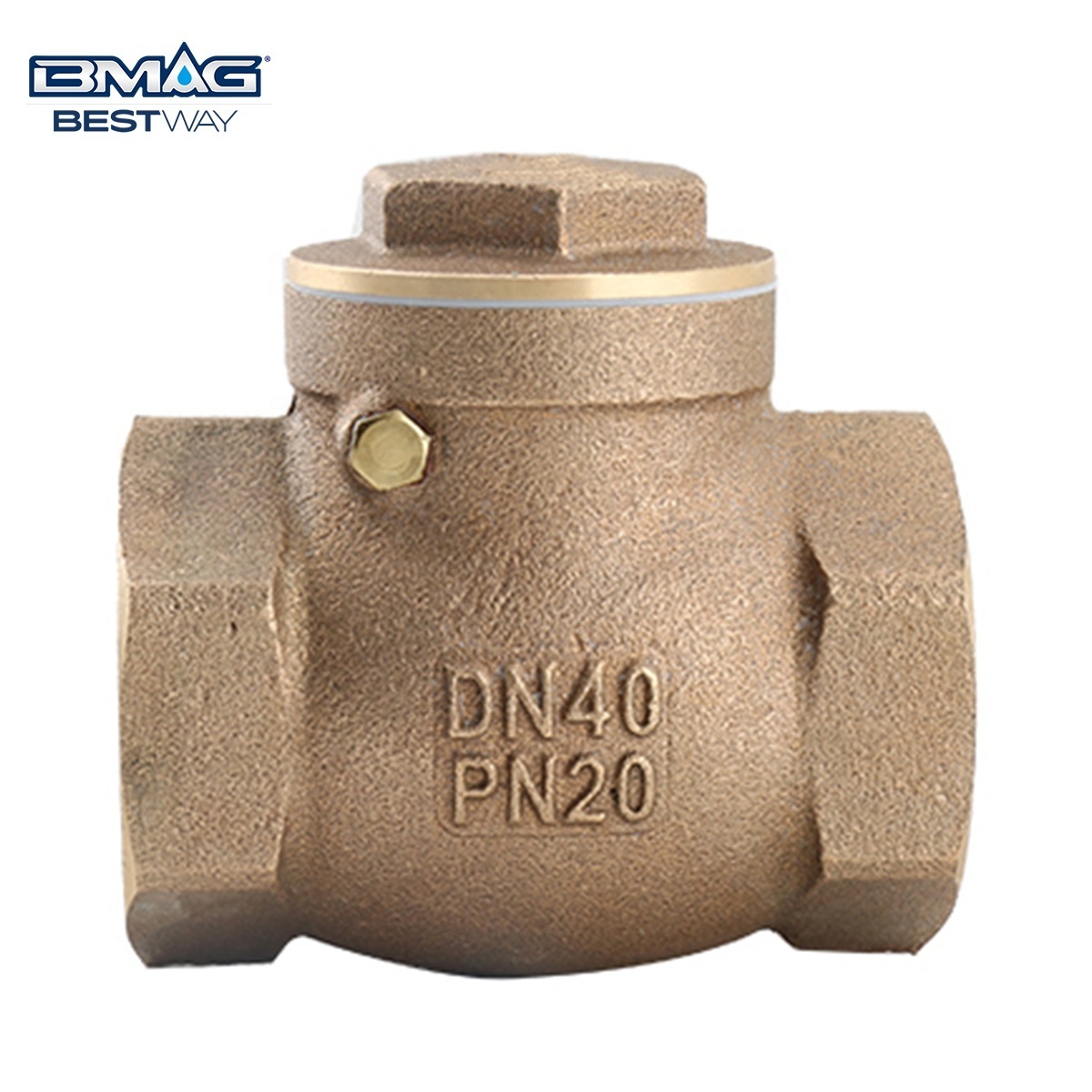 BWVA China Manufacturer Standard 2.0Mpa BSP NPT Thread 1/2