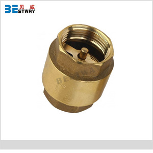 BWVA 1/2"-2" Swing Check Valve Non-Return Valve With Brass or Plastic Core For Water