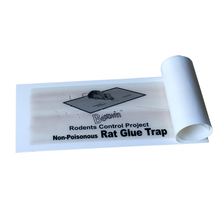 BSTW pest control with rat glue trap rat glue moue glue trap