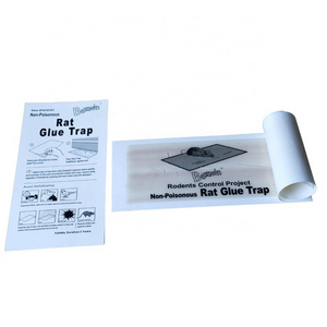 BSTW pest control with rat glue trap rat glue moue glue trap