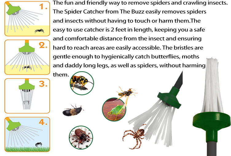 BSTW remove spider catcher tool bug insect spider catcher