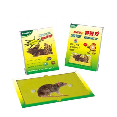 bestwin mouse glue book board trap rat trap glue paper board mouse glue trap