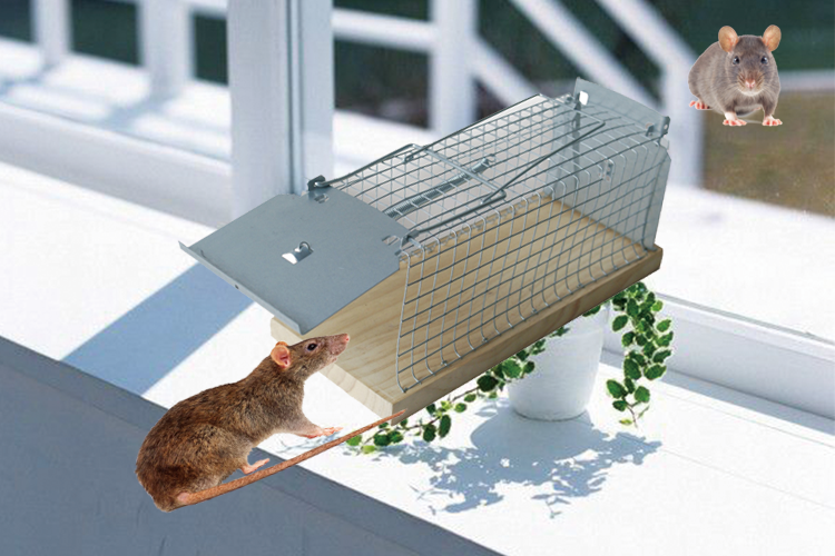 BSTW Metal Mouse Cage Multiple Catch Rat Trap Rat Trap Cage Rats Trap