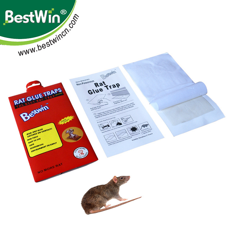 BV certification insects trapper and garden animal trapper roach killer