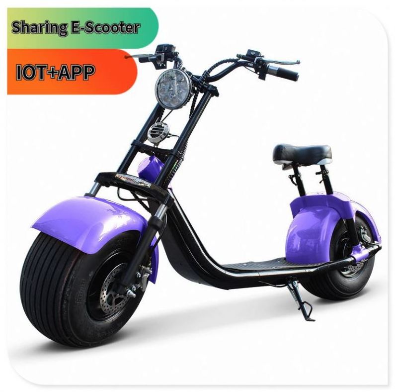 Wholesale Sharing Electric Scooter For Adults App Controlled Standing Scooter Hoverboard