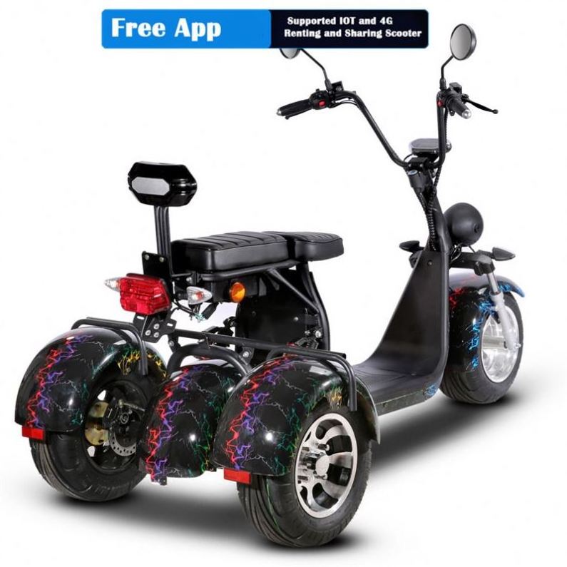 3 Person Electric Motorcycle Citycoco 2 Wheel Adult Electric Mobility Scooter Bike