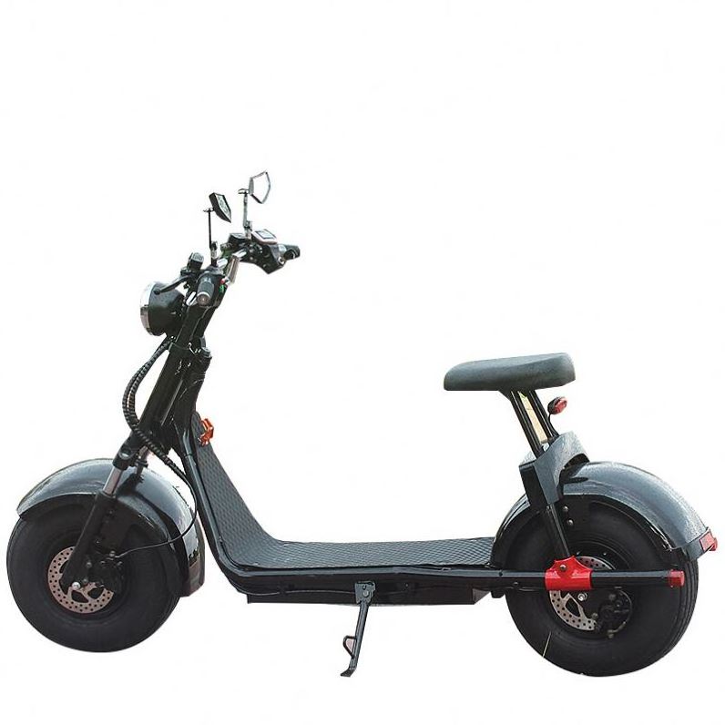 2020 Electric Motorcycle Electric Scooter 1000W/800W Hoverboard Two Wheel Citycoco