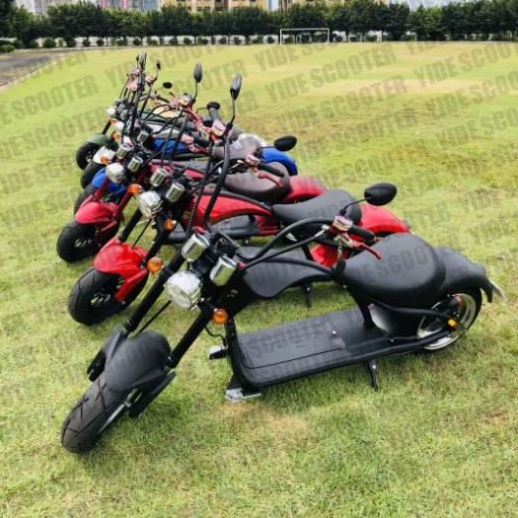 High Quality 1000W 62V/12Ah Brushless Adult Electric Scooter, 2 Wheels E-Scooter Electric Motorcycle Citycoco Electric Fat Bike