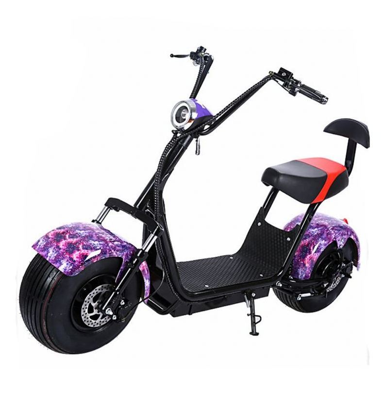 1000W Iron 8 Inch Fat Tire 3 Wheels Electric Off Road Halley Citycoco Scooter With Removable Battery