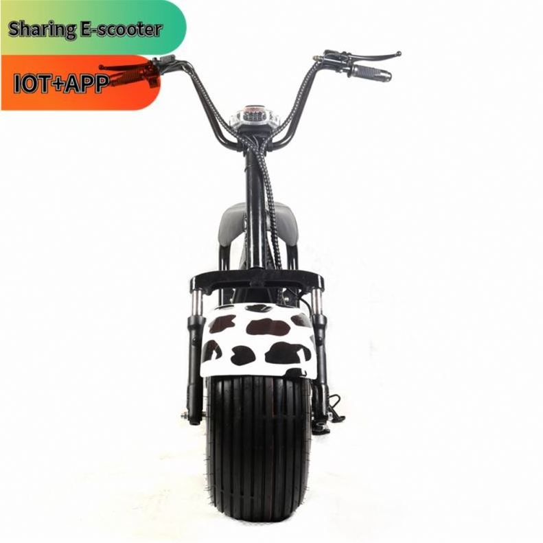 Wide Wheel E Scooter Electro Foldable Kick Electric Scooter Made in China for Adult Supplier GPS Sharing Best 8 Inch Ce 60V YIDE