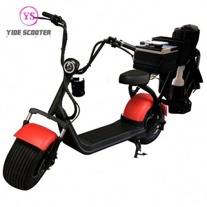 2020 Electric Motorcycle Electric Scooter 1000W/800W Hoverboard Two Wheel Citycoco