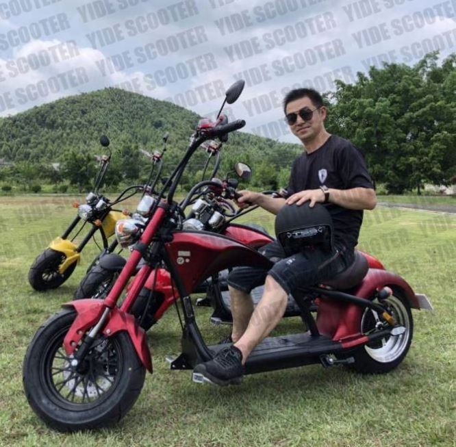 High Quality 1000W 62V/12Ah Brushless Adult Electric Scooter, 2 Wheels E-Scooter Electric Motorcycle Citycoco Electric Fat Bike