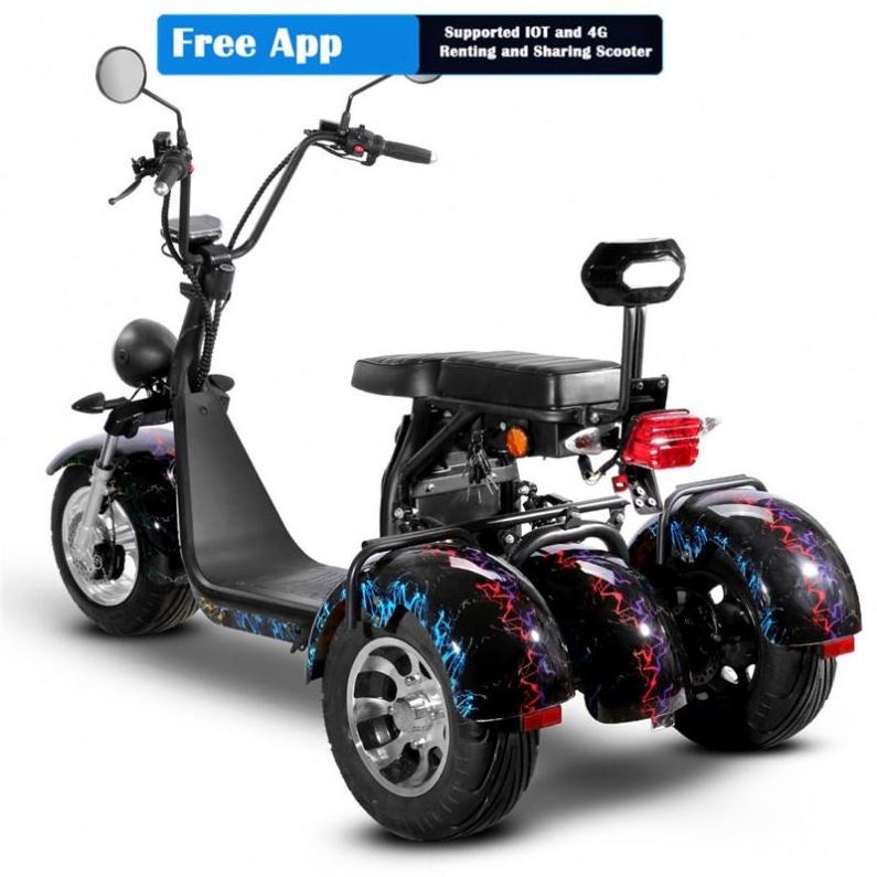 3 Person Electric Motorcycle Citycoco 2 Wheel Adult Electric Mobility Scooter Bike