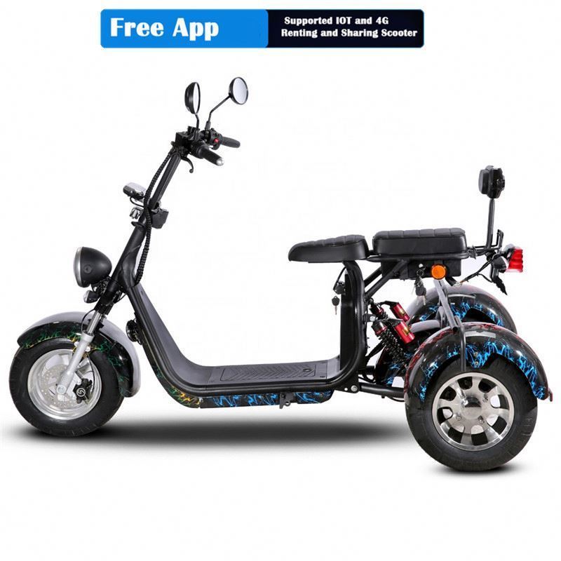 3 Person Electric Motorcycle Citycoco 2 Wheel Adult Electric Mobility Scooter Bike