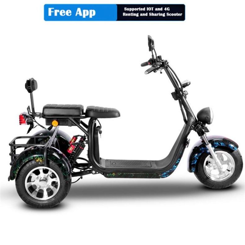 3 Person Electric Motorcycle Citycoco 2 Wheel Adult Electric Mobility Scooter Bike