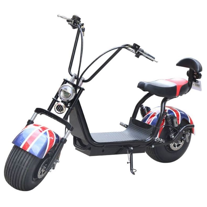 2020 Electric Motorcycle Electric Scooter 1000W/800W Hoverboard Two Wheel Citycoco