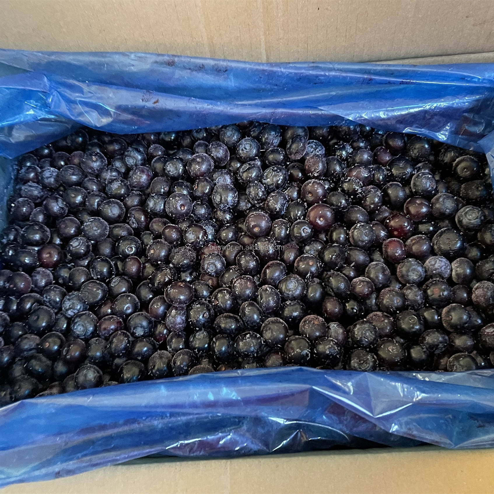 good taste fresh frozen blueberries IQF cultivated blueberries for export from China