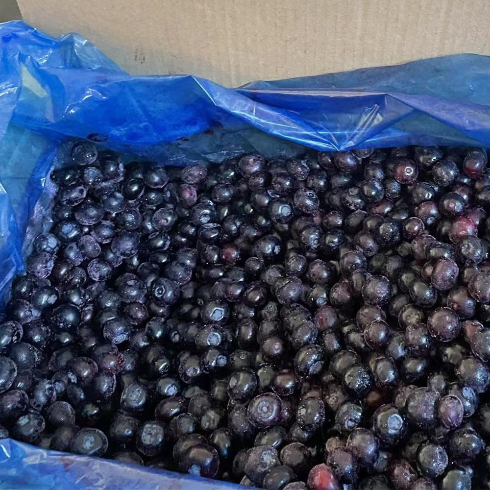 good taste fresh frozen blueberries IQF cultivated blueberries for export from China