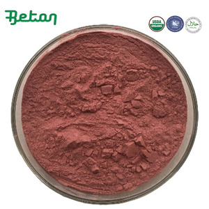 Wholesale 100% Water Soluble Maqui Berry Powder