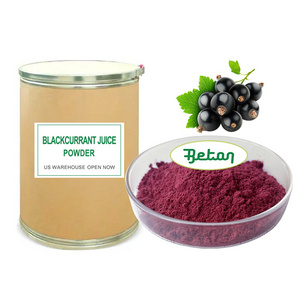 Organic 100% Water Soluble Freeze Dried Blackcurrant Concentrate Powder Black Currant Fruit Flavor Juice Extract Powder 99%