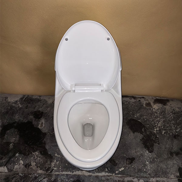 Sanitarios Inodoros De Una Pieza S Trap Siphonic Toilet Bowl Retretes Inodoro One Piece Toilet