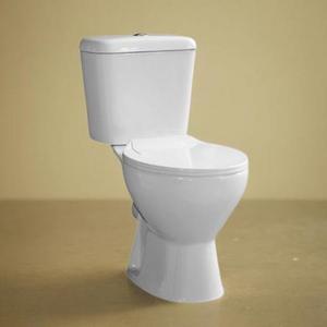 Washdown Bathroom Floor Mounted Toilet Ghana Wc Toilet Africa Wc Two Piece Toilet for Sale Ceramic China White Color