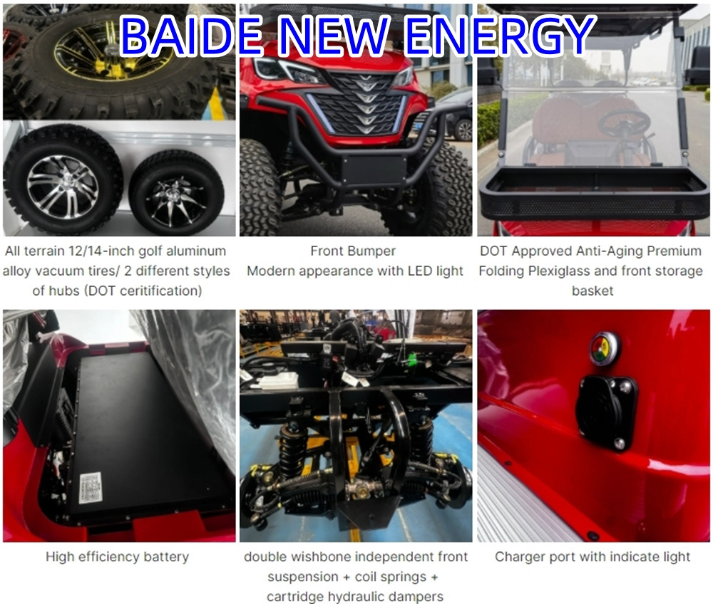 Luxury New Design customized electric Golf cart