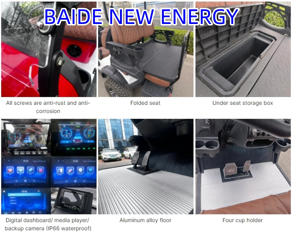 Luxury New Design customized electric Golf cart