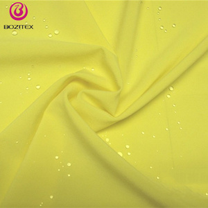 Wholesale China Factory 170t 190t 210t Polyester Taffeta/ Lining Fabrics