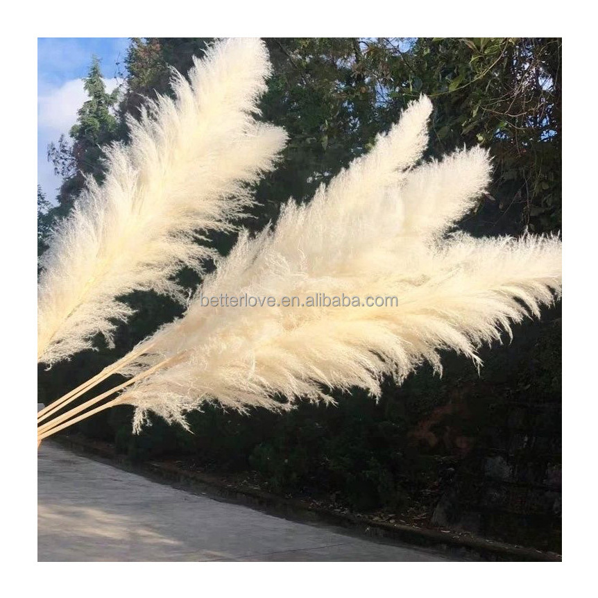 decoracion wedding centerpieces decor decorative flowers fluffy tall dried artificial flowers pampas grass