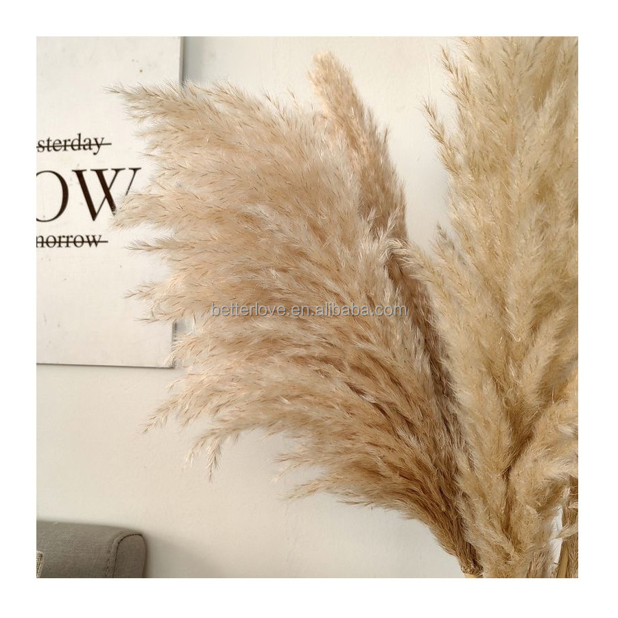 decoracion wedding centerpieces decor decorative flowers fluffy tall dried artificial flowers pampas grass