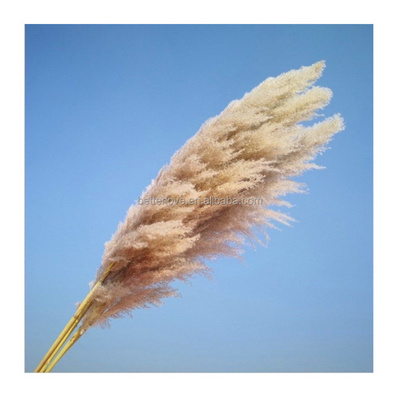 decoracion wedding centerpieces decor decorative flowers fluffy tall dried artificial flowers pampas grass