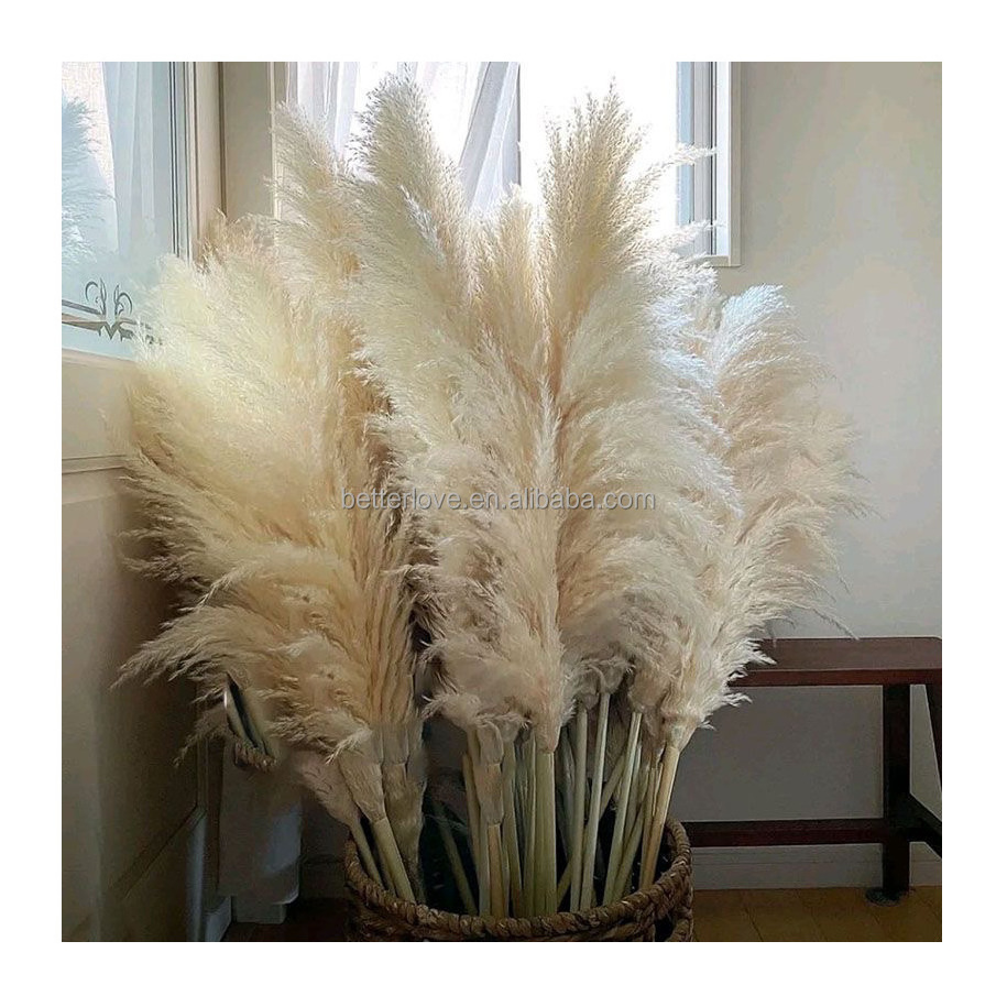 decoracion wedding centerpieces decor decorative flowers fluffy tall dried artificial flowers pampas grass