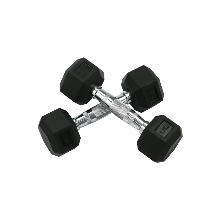 Cross Fitness Hex Dumbbell Gym Basic Equipment Rubber Coated Hexagonal Dumbbell